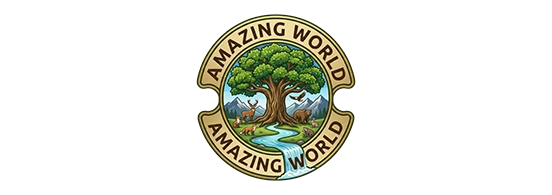 Amazing world
